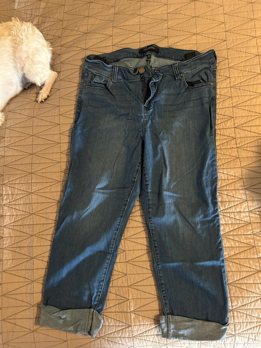 Liverpool Jeans Company Women’s Boyfriend Jeans in Blue Wash